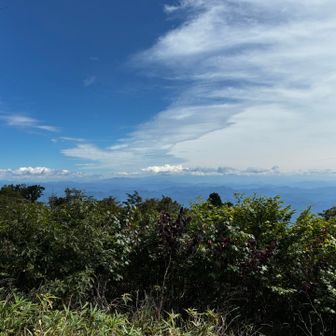 山頂からの眺望

南アルプスは雲に覆われている