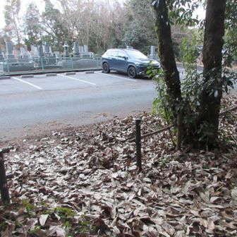 今日は日が暮れる前にげざ〜ん👍