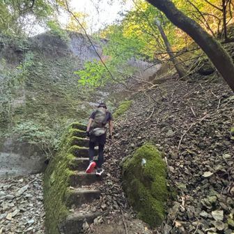 15キロ位は樹林帯メインで我慢の山行です😅