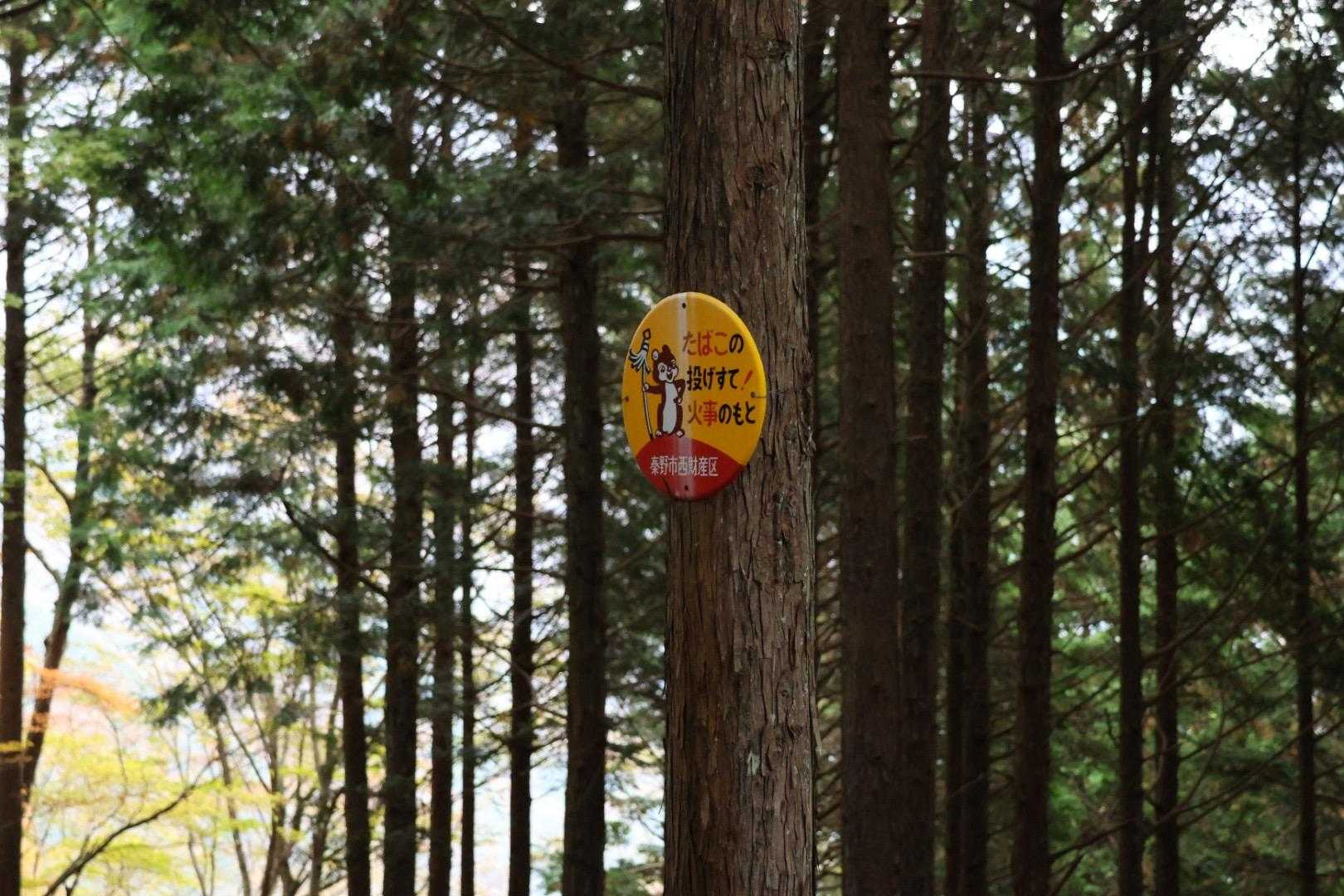 🐿️