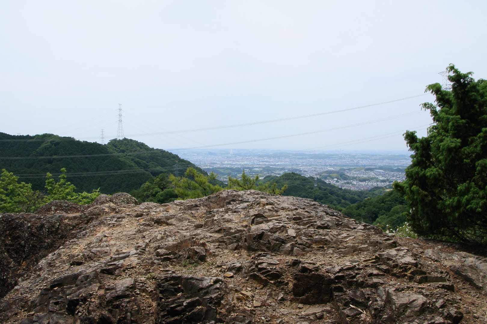 二上山（雄岳） | 季節ごとの草花に癒される、お手軽ながら充実した山歩きの写真