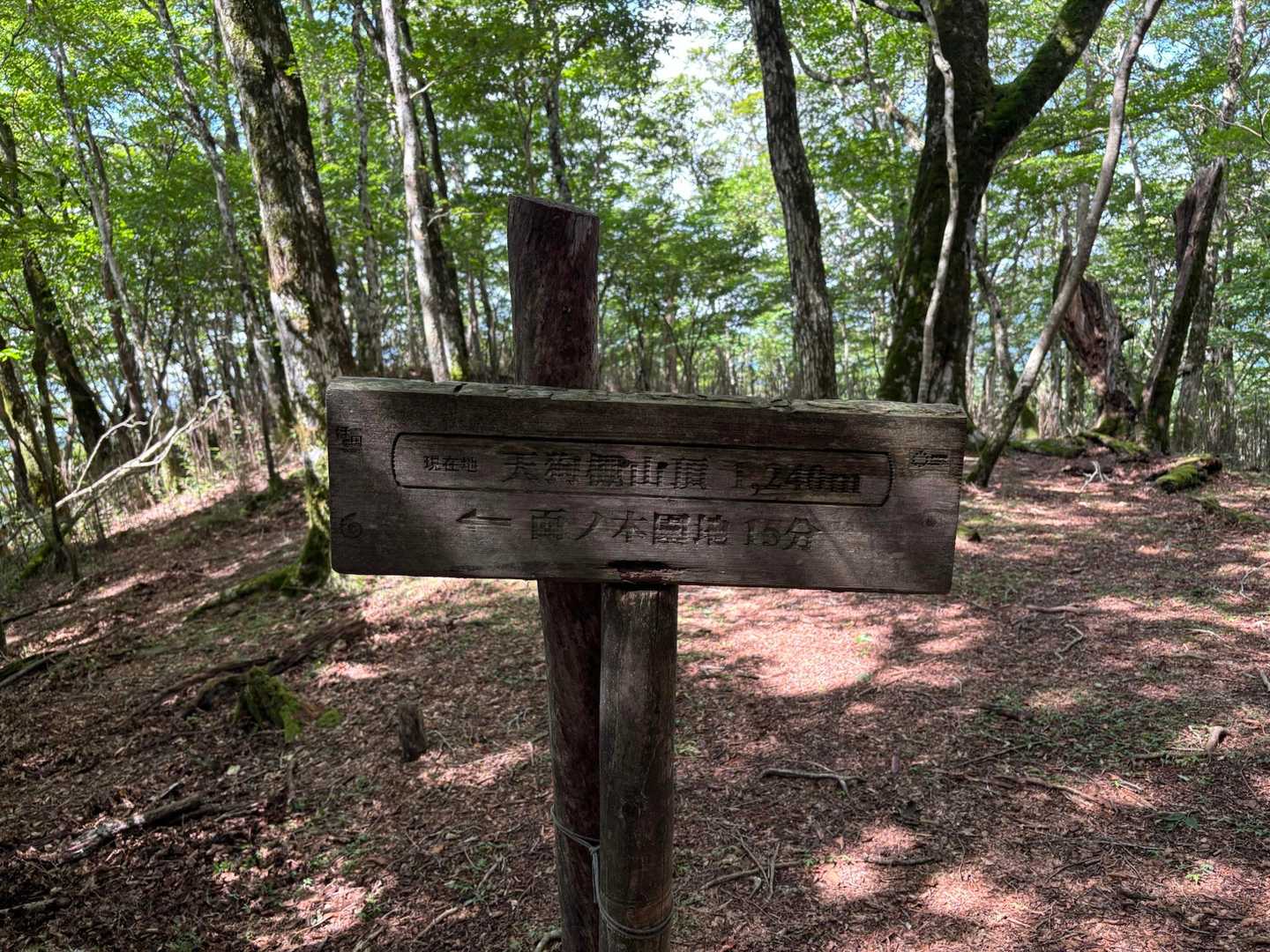 天狗棚山頂　