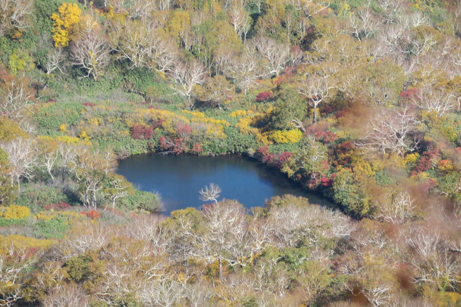 沼&紅葉