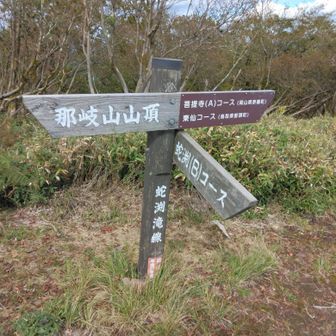 ここで分岐。Bコース(蛇渕コース)で下山。