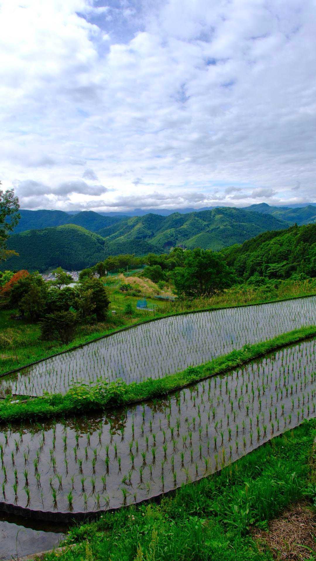 🅿️は、4、5台停めれそうです。
水田と山々⛰️✨