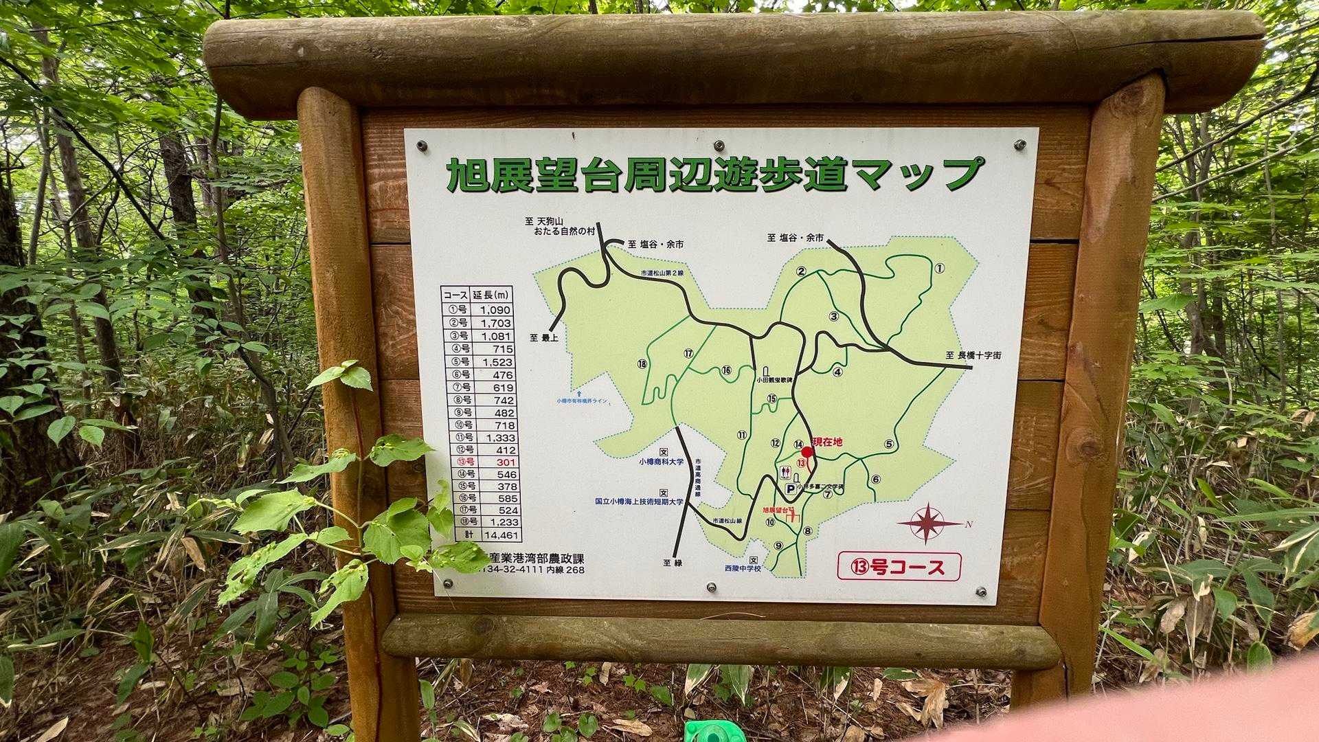 旭山 往復コースの写真