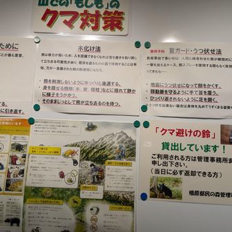 熊🐻対策ふむふむ…