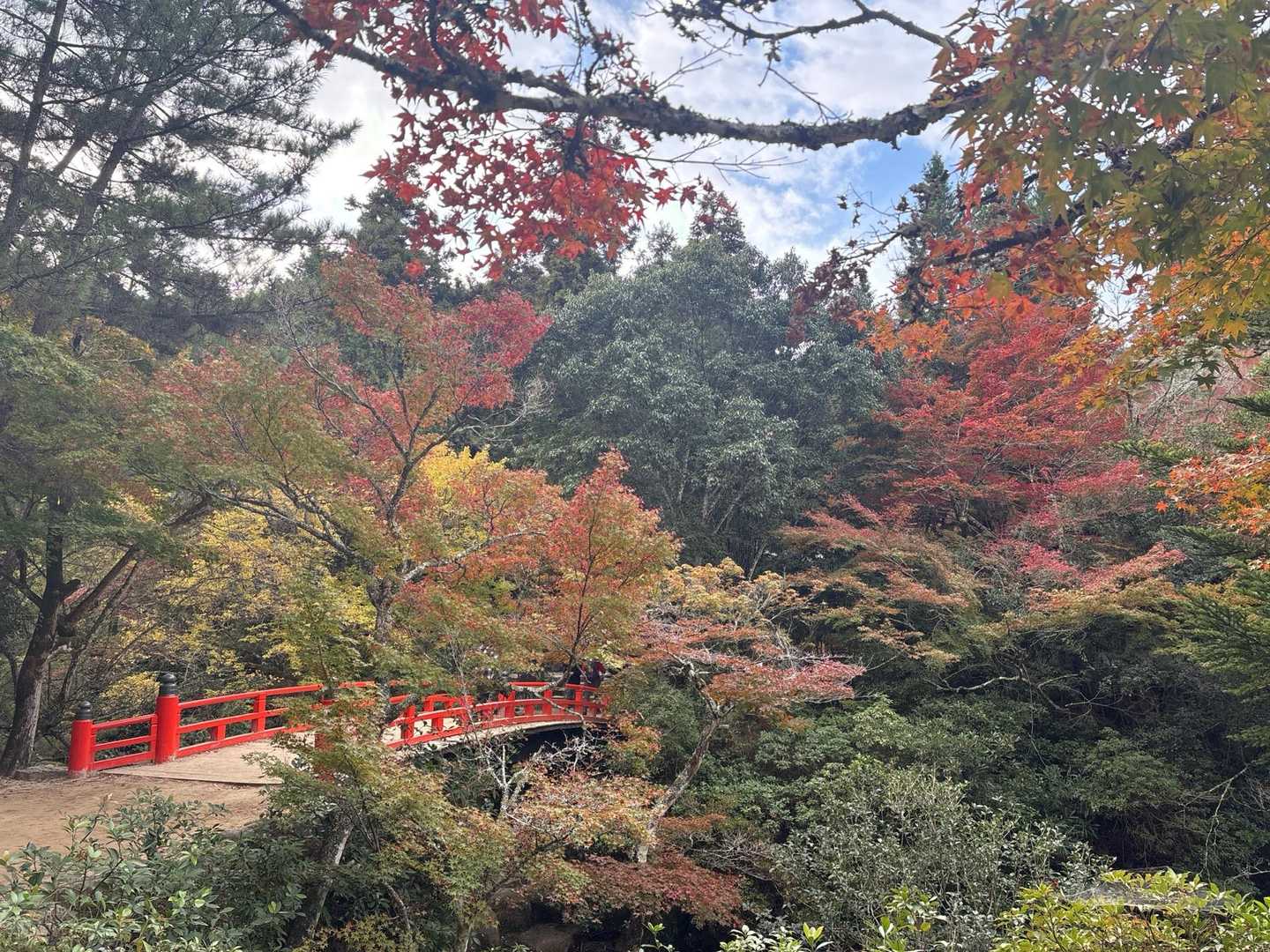 紅葉🍁
