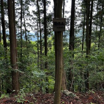 四座目の物見山
ここからコースを外れて寄り道して…