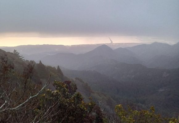 多良岳（佐賀・983m）| 登山ルート・天気 | YAMAP / ヤマップ