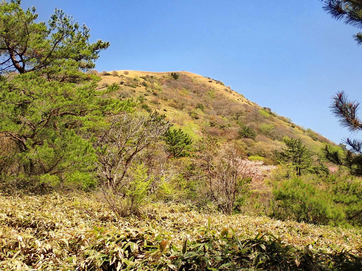 下りる途中で山頂が見えました。ありがとうございました。
