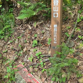 夕張岳の標高短いバージョンですね