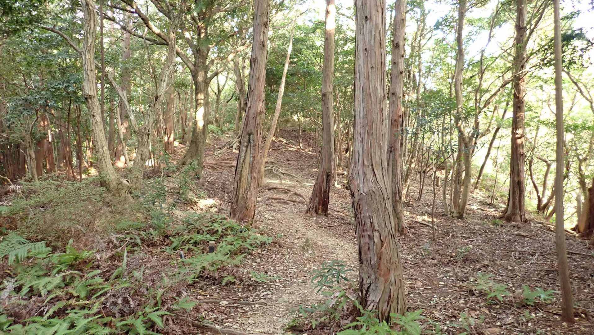 尾根に出た。