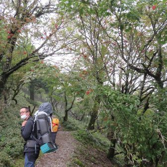 藪木崇之 TAKAYUKI YABUKI