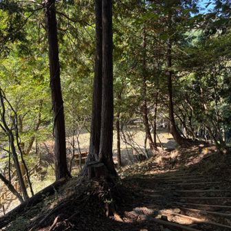 もうすぐ終わり😞
次はいつかな〜？
気持ちいい良き山行でした⛰️