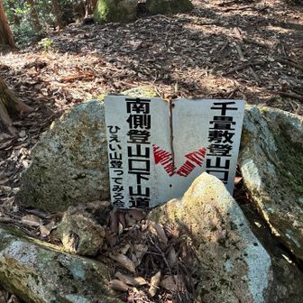 分岐

帰りはみなみ登山口へ