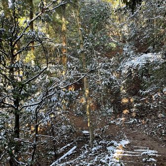 雪景色になってきた❄️