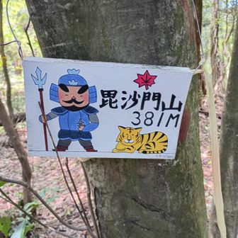 8座目