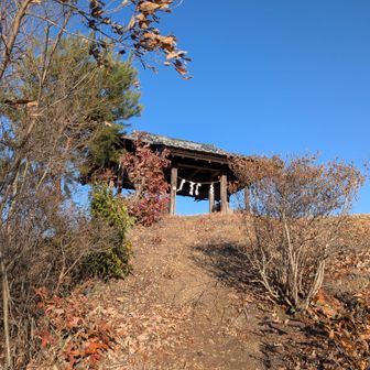 嘉多山浅間神社奥宮
181mの山頂とは思えない佇まいと景観。
冬の低山巡りはこれがあるから面白い😆