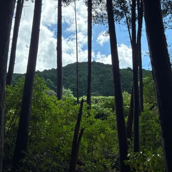 ええ感じな角度⛰️