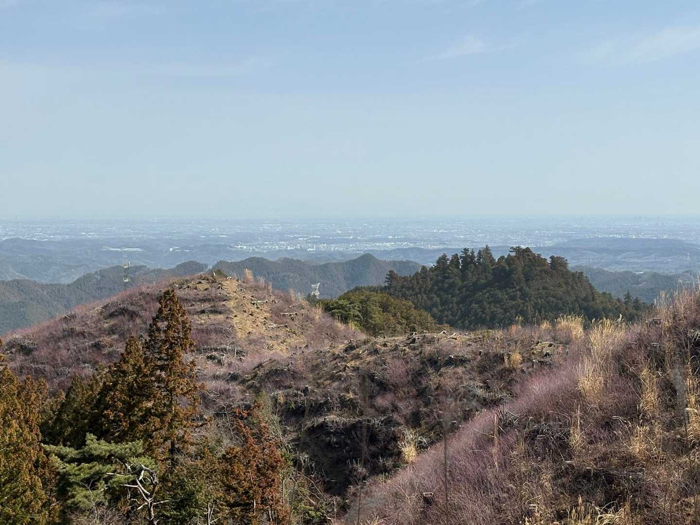 日向和田駅-三室山-梅野木峠-日の出山-つるつる温泉バス停 縦走コースの写真