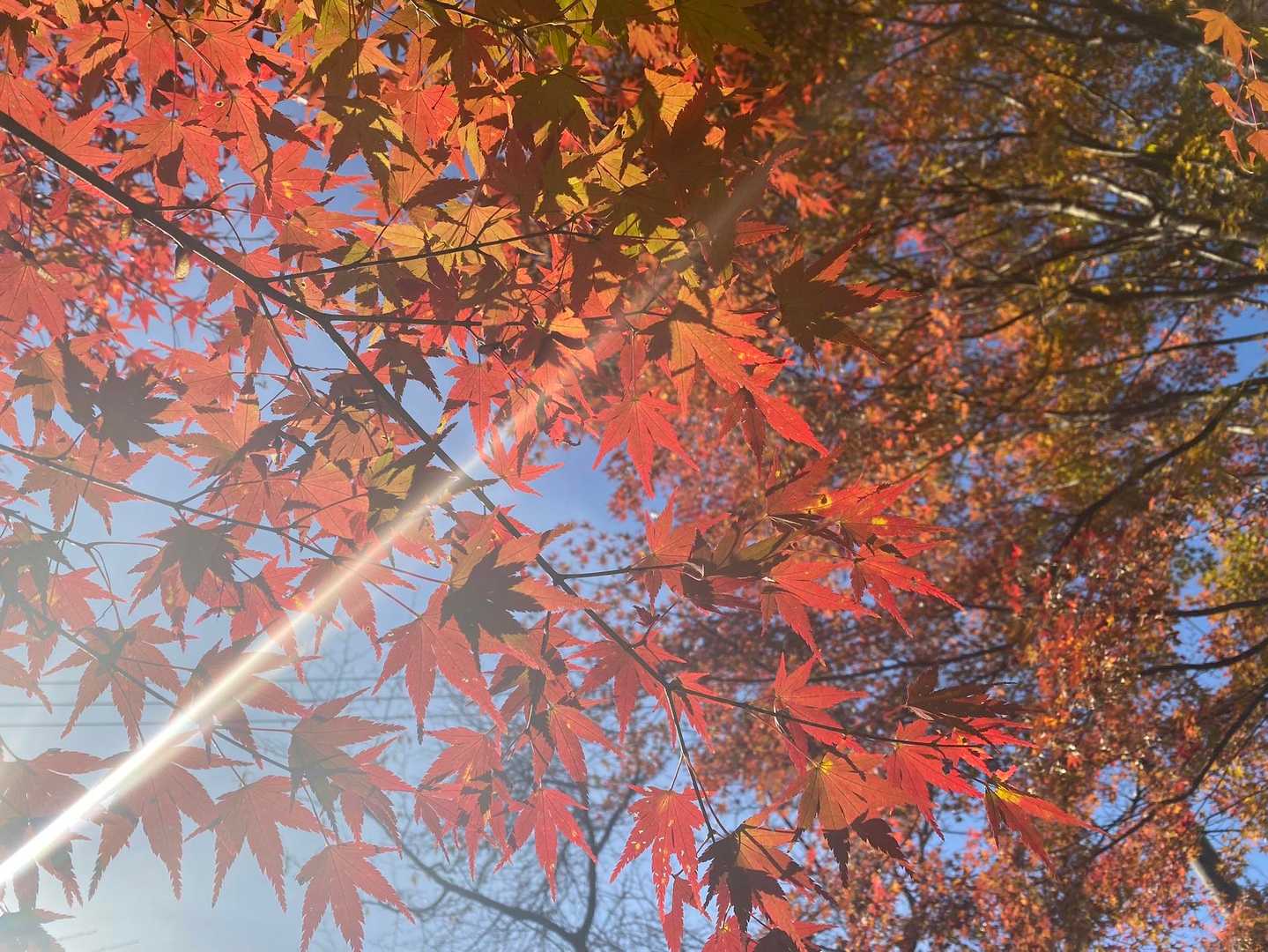 キラッキラ✨