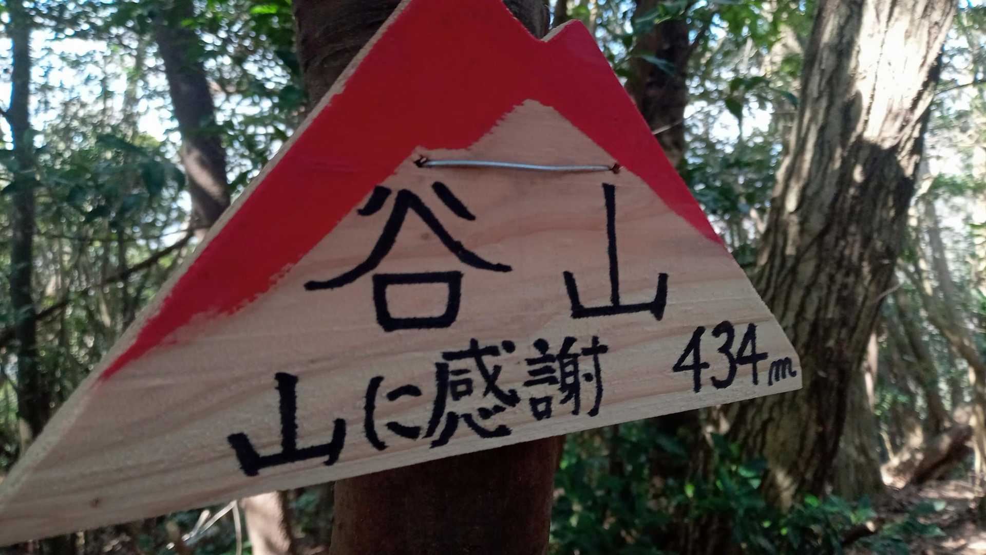 2座目の谷山に到着！
この間、山笑うという桜ポイントはなかった。これからか？