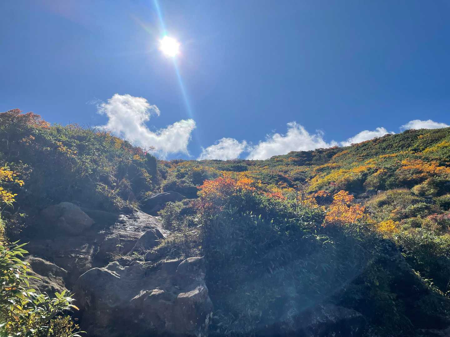 秋って天気良ければ半袖だし悪ければ冬装備だよね…
