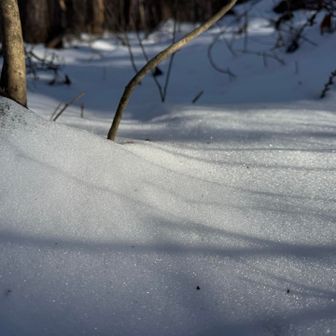 山の北斜面は真っ新な雪が