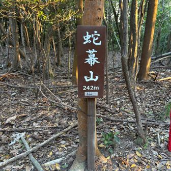 蛇幕山登頂
先ほどの案内表示から約7分で登頂！
