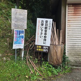 杖を借りれます
