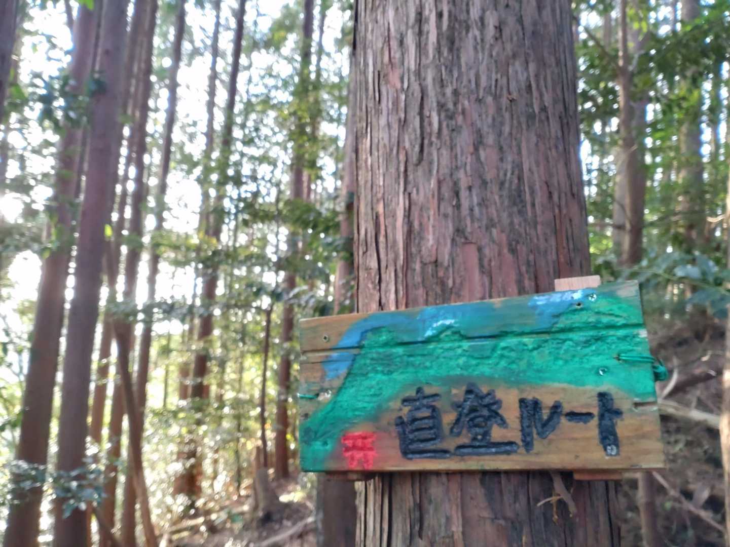 薬師岳-文珠岳-道白山 周回コースの写真