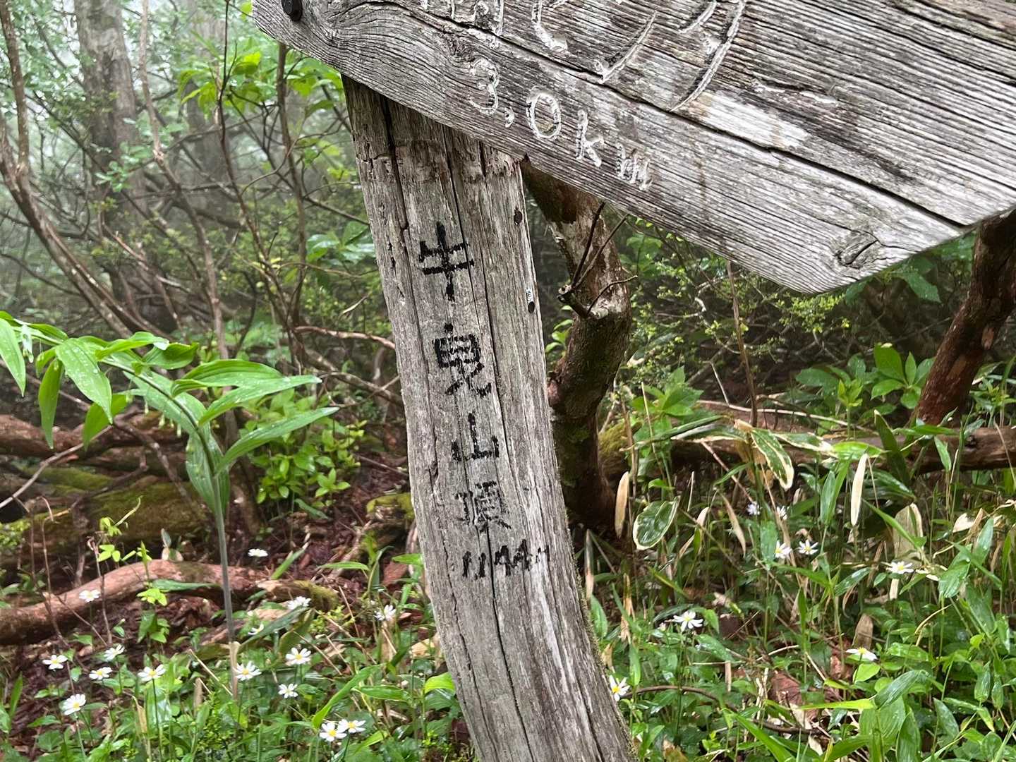 伊良谷山別れまで進みます