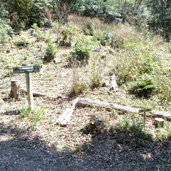 分岐。右に大人数でもご飯にピッタリな立派な東屋あり。