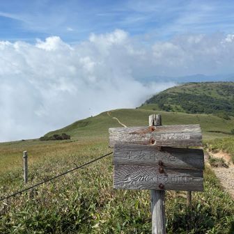蓬莱山⛰️