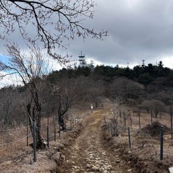 いわゆる三ツ峠山（開運山）へ