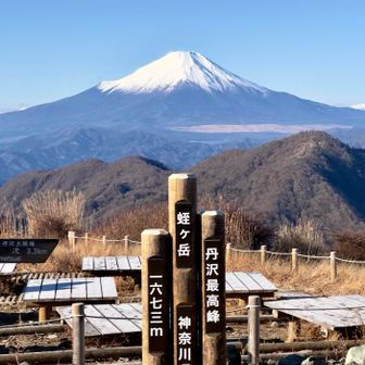 ない
