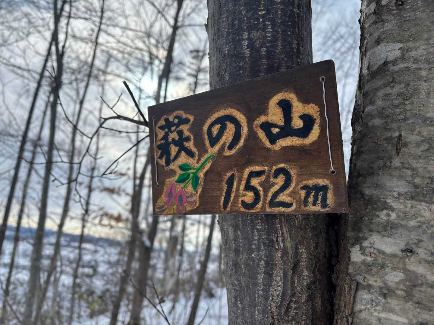 利根別自然公園登山口-萩の山 往復コースの写真