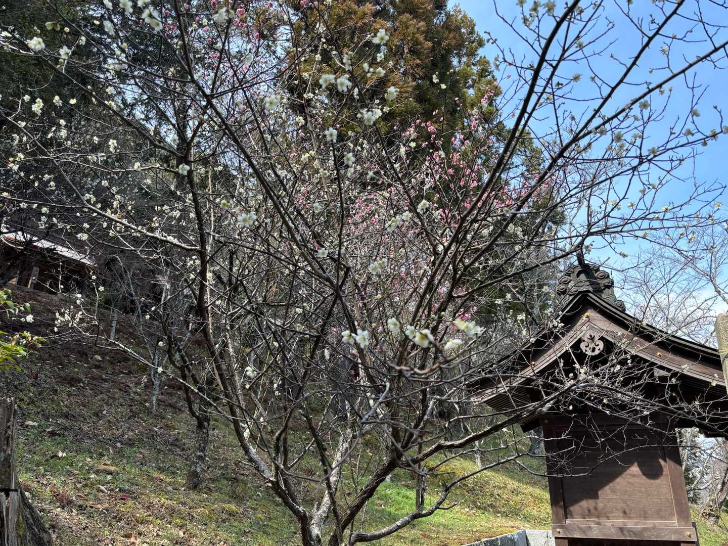 龍王山-吉備津彦神社 周回コースの写真