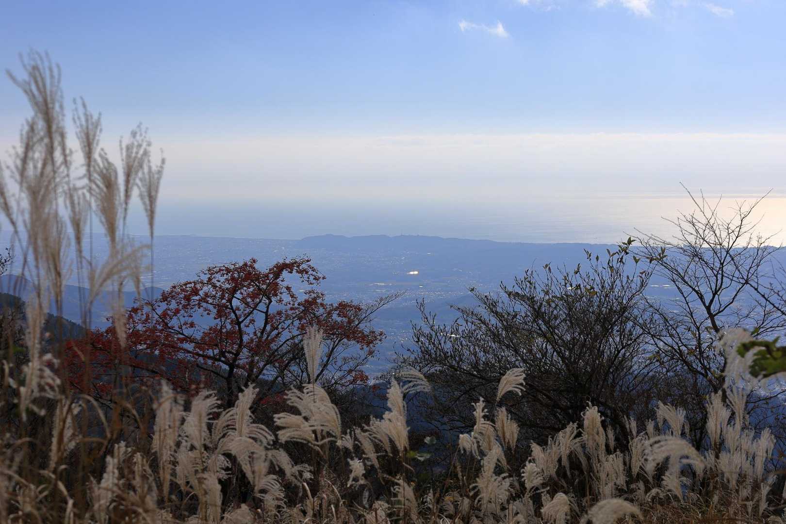 少し視界が開けて相模湾が見えてきました。