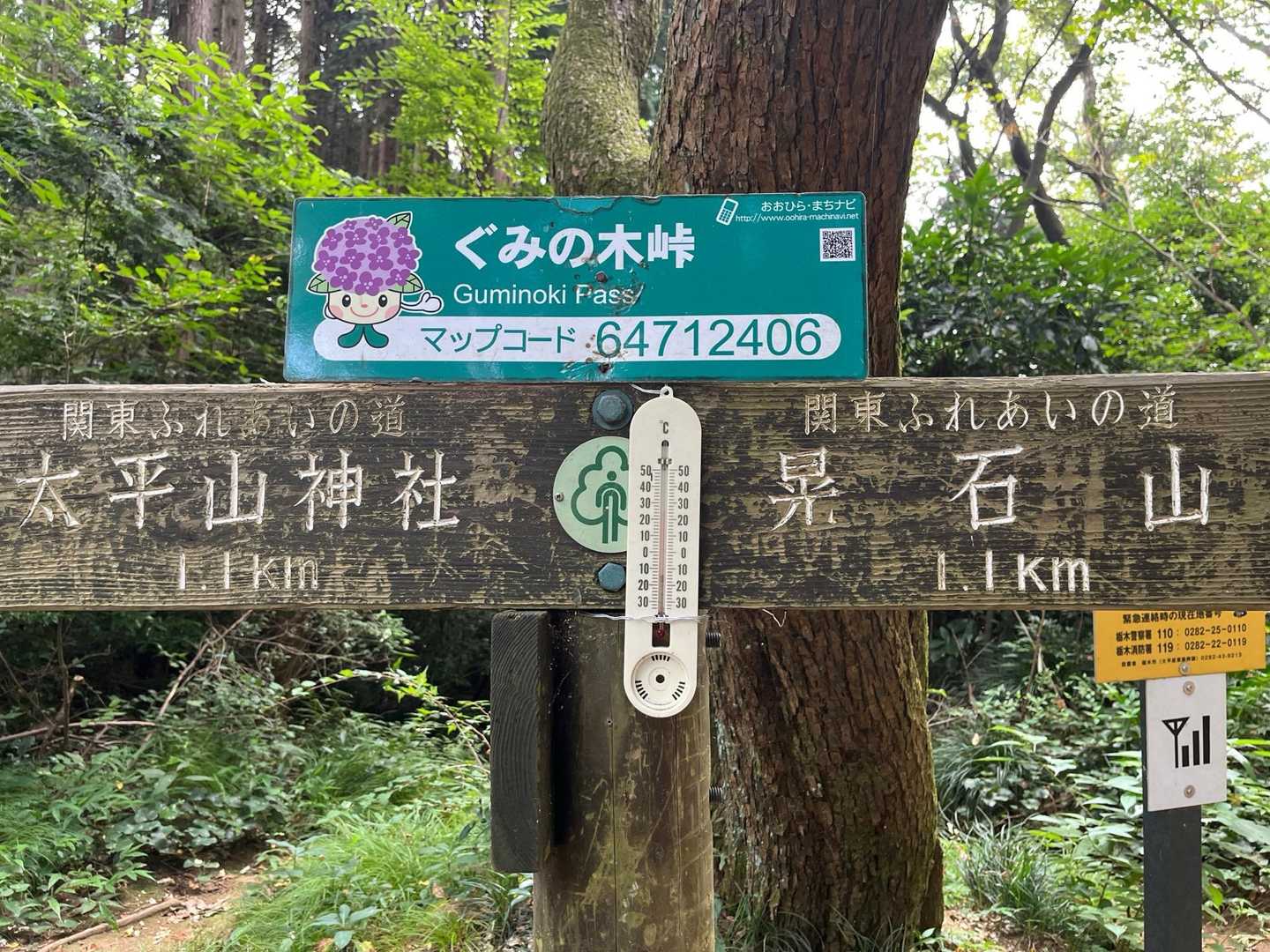 本日のぐみの木峠は25℃でした