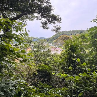 下界が見えてくる。喧騒も大きくなっていく。