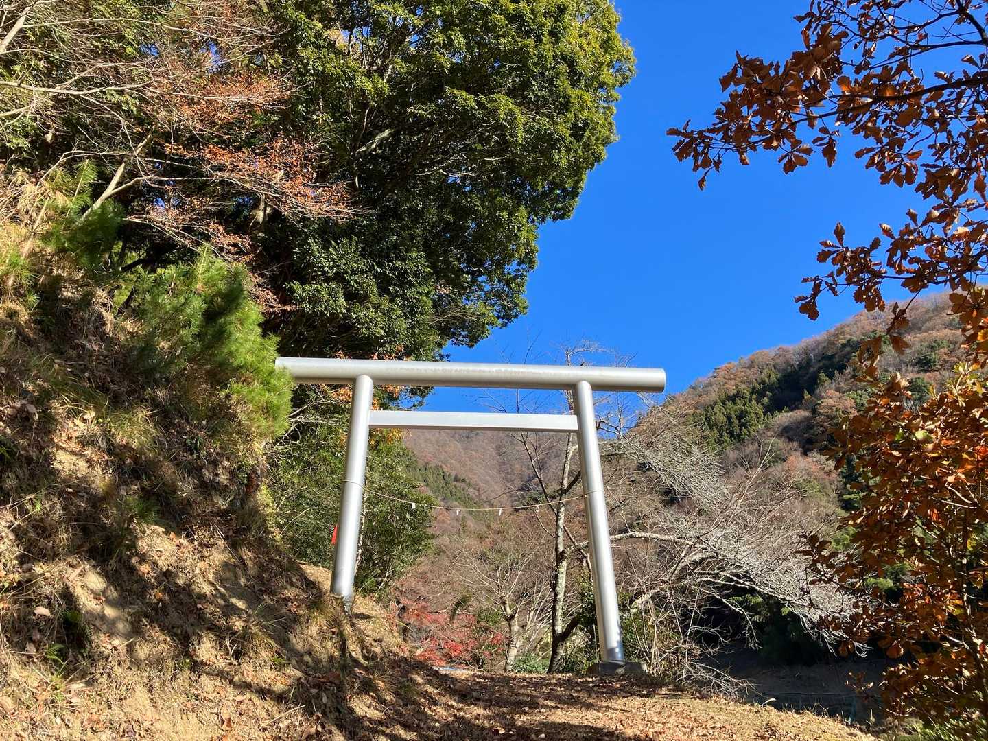 コンクリ舗装路からお参り