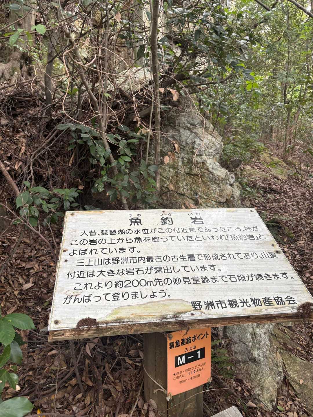 いきなり階段頑張って登りましょうと応援される📣笑