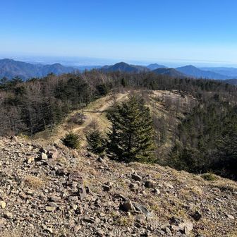 その後Ｙガイドさん遅れを取り戻すべくめちゃくちゃ
ペース上げて避難小屋まで歩きました。
皆んなも頑張って歩いたよ。