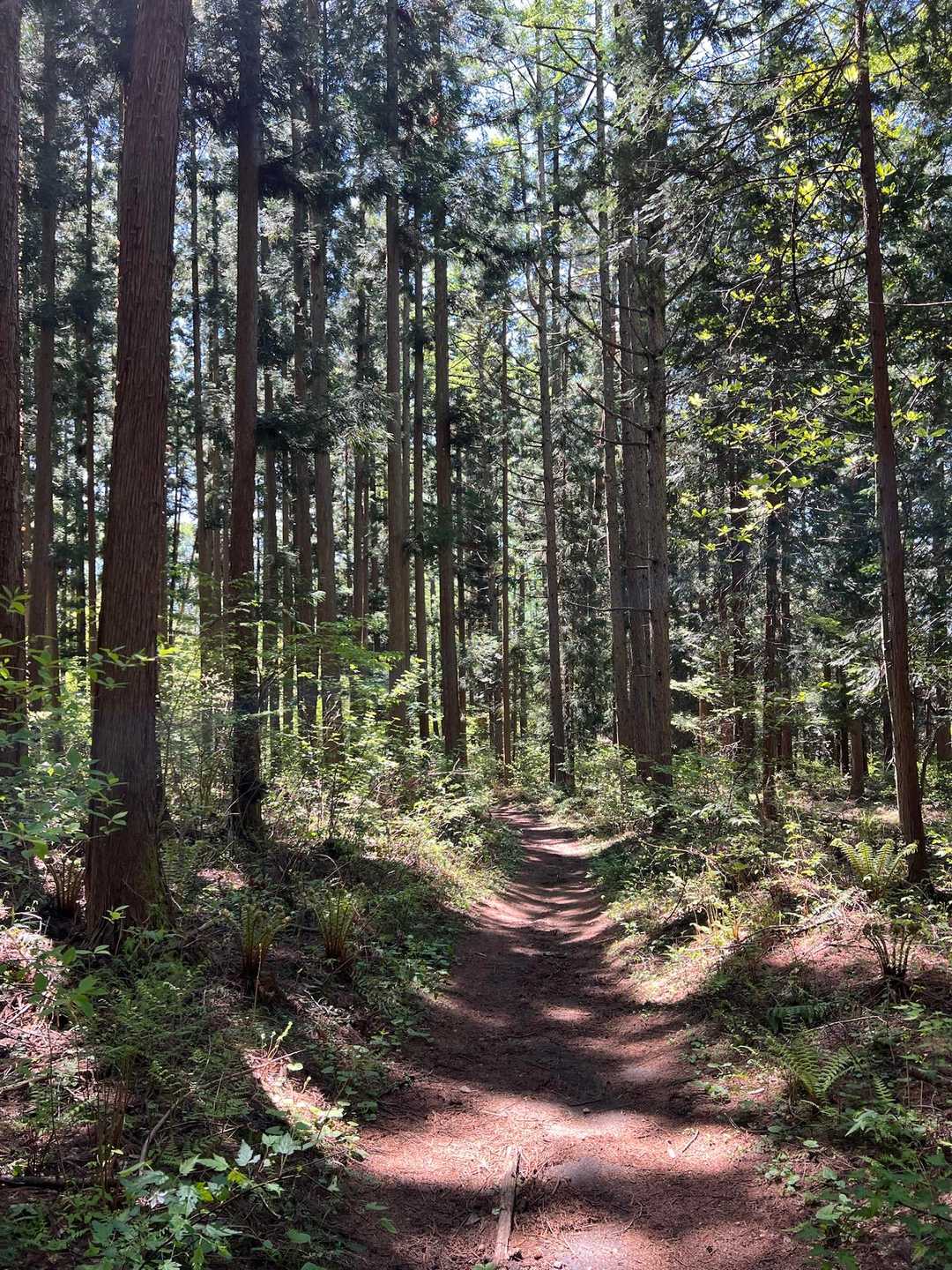 ただ心地いい🍃