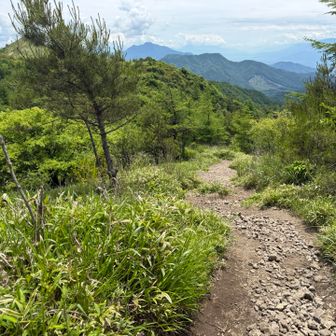 平沢山から大盛山・飯盛山方面へ下る道は、ザレていて滑りやすい。