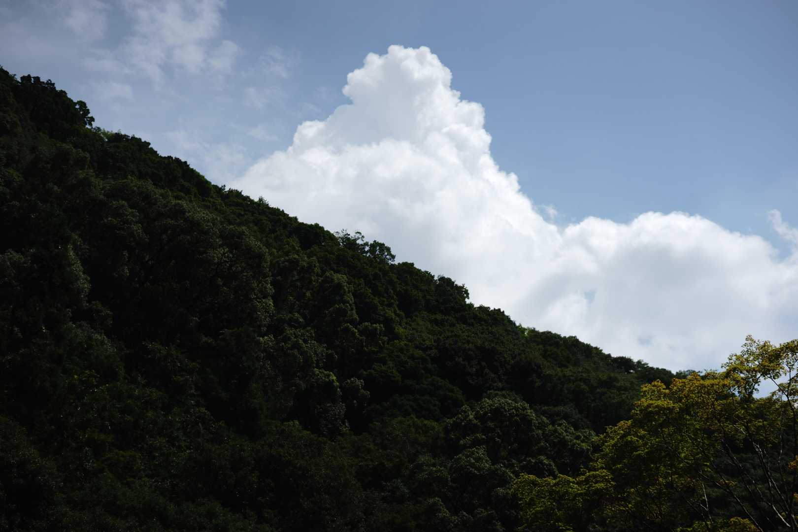 瀧安寺-石子詰登山口-箕面山 往復コースの写真