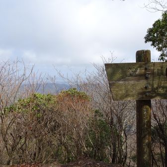 こちらは笠山西峰