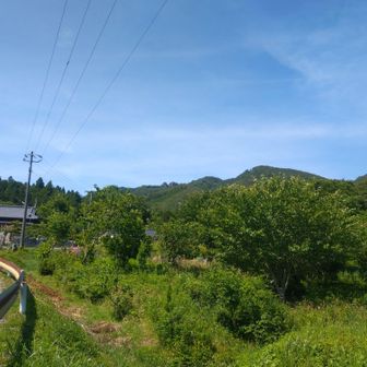 下りて来ました！
綺麗な青空です🩵💙